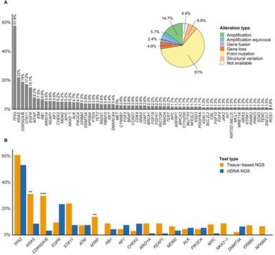 Tissue- and liquid-biopsy based NGS profiling in advanced non-small-cell lung cancer in a real-world setting: the IMMINENT study